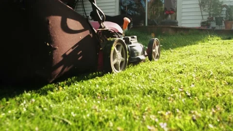 Close up shot of A man mows the grass in the backyard with an electric lawn Video stock 156044795