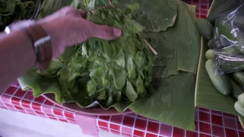 Close up Shot of Man Picking Up Vegetables  Stock Footage 146437222