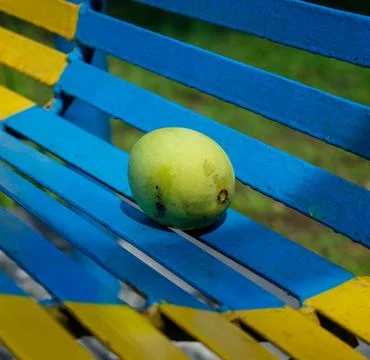 Close-up shot of a mango fruit Foto stock