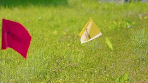 Close-up shot of a Manitoba Hydro utility locate flag blowing in the wind from Stock Footage 344021075