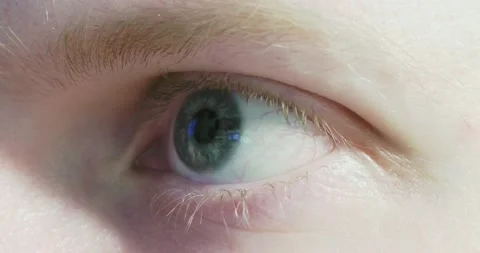Close-up shot of man's eye. Man with green eyes. Blonde brow and eyelash. Stock Footage 171073780