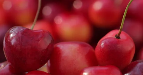 Close-up shot of a merry. Stock Footage 135639397