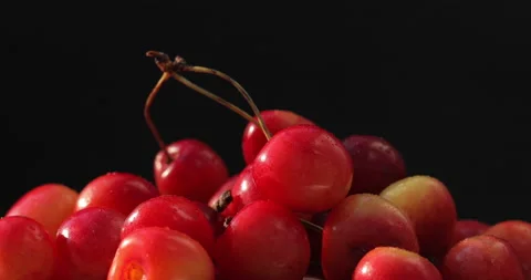 Close-up shot of merry fruit Stock-Footage 135628420