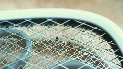 Close-up shot of a mosquito being electrocuted on an electric racket. Video stock 318163565