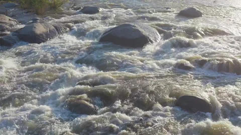Close-up shot of mountain river with rapids surrounded by  forest and meadow. Stock Footage 242101332