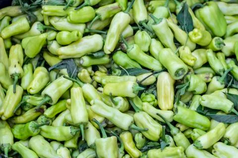 Close-up shot for multiple green colored peppers on plastic box Stock Photos