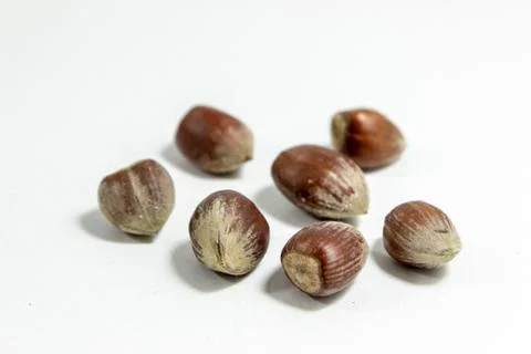 Close-up shot of multiple hazelnuts with blurry white background Stock Photos