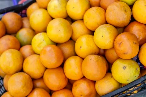 Close-up shot for multiple orange colored oranges on plastic box Stock Photos