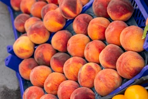Close-up shot for multiple orange colored peaches on plastic box Stock Photos