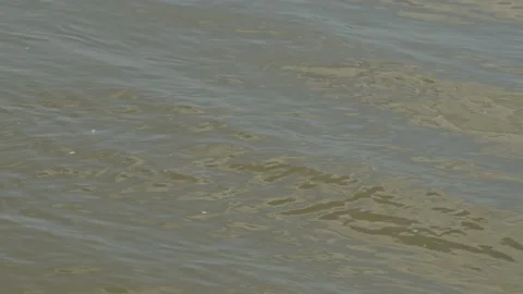 Close-up shot of murky river water surface with small gentle ripples Stock Footage 337389214