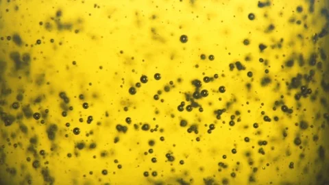 Close shot of oil. Stock Footage 112652945