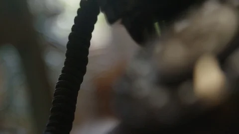 Close up shot of old rotary dial telephone Stock Footage 89343548