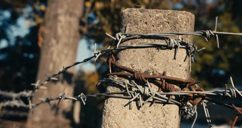 Close-up shot of old rusty barbed wire fence at a farm. Trees in the background. Stock Footage 118522941