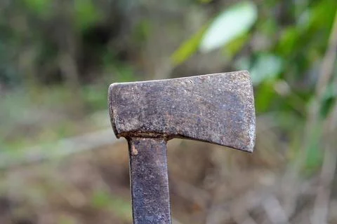 A close-up shot of an old rusty iron axe head against a blurred forest Stock Photos