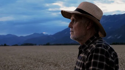 A close-up shot of an older man with a hat standing in the wheat fields Stock Footage 113707599