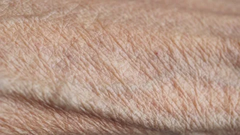 Close up shot of older persons hand with many wrinkles, veins and age spots.. Vídeos de archivo 332744778