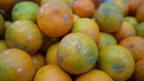 Close up shot orange Stock Footage 231555172