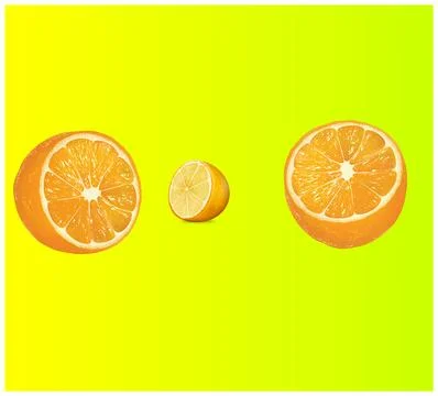A close up shot of orange fruit . Stock Illustration