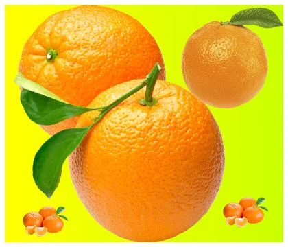 A close up shot of orange fruit . Stock Photos