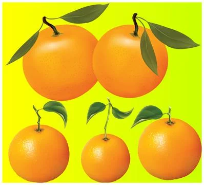A close up shot of orange fruit . Stock Photos