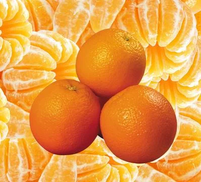 A close up shot of orange fruit . Stock Photos
