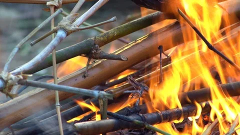 A close up shot of a people make bonfire at a tropical, chiang mai thailand Stock Footage 88770375
