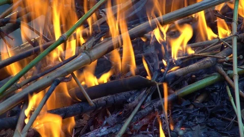 A close up shot of a people make bonfire at a tropical, chiang mai thailand Stock Footage 88770377