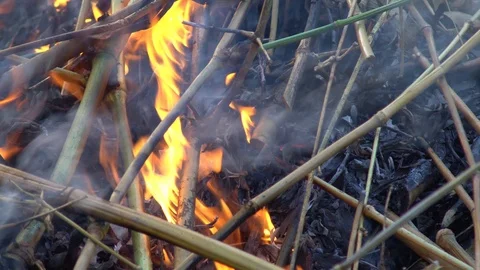 A close up shot of a people make bonfire at a tropical, chiang mai thailand Vídeos de archivo 88770385