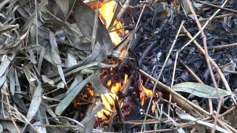 A close up shot of a people make bonfire at a tropical, chiang mai thailand Stock Footage 88770409