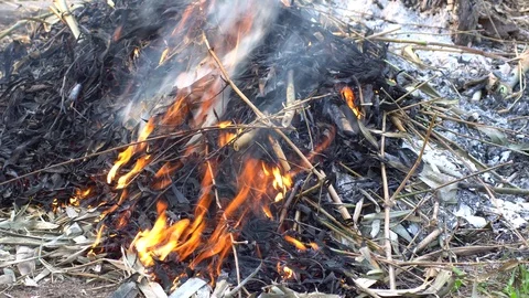 A close up shot of a people make bonfire at a tropical, chiang mai thailand Stock Footage 88770487