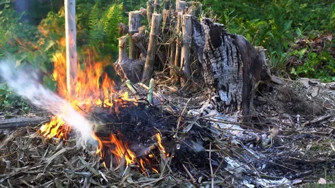 A close up shot of a people make bonfire at a tropical, chiang mai thailand Stock Footage 88770573