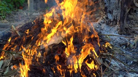A close up shot of a people make bonfire at a tropical, chiang mai thailand Stock Footage 88770823