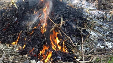 A close up shot of a people make bonfire at a tropical, chiang mai thailand Stock Footage 88771060