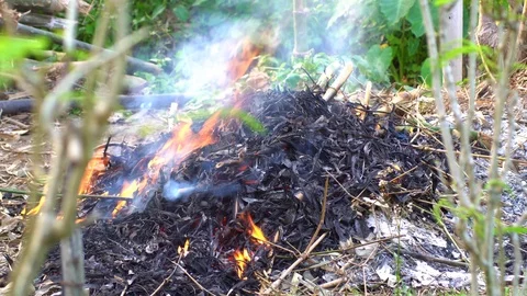 A close up shot of a people make bonfire at a tropical, chiang mai thailand Stock Footage 88771253