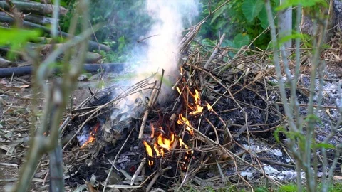 A close up shot of a people make bonfire at a tropical, chiang mai thailand Video stock 88771855