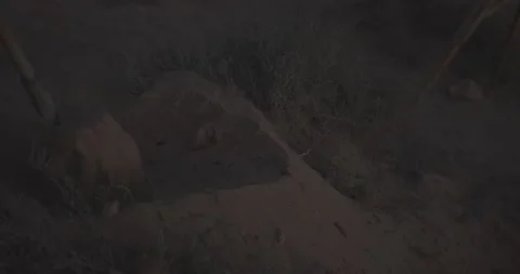 Close up shot for person using shovel digging grave in the desert at dusk Stock Footage 164614786