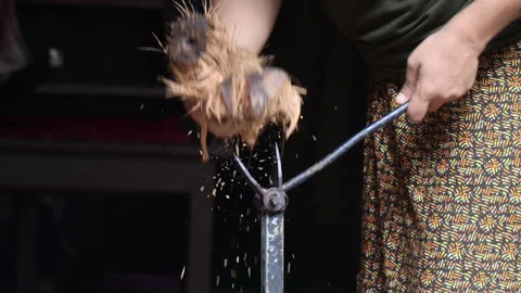 A close-up shot of a person's hands dehusking a coconut with a tool. Video stock 278450651