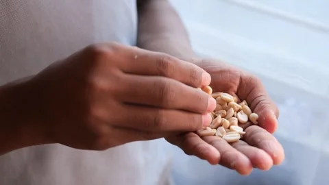 Close-up shot of a person's hands holding and picking up several peanuts, s.. Vídeos de archivo 333033125