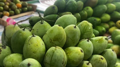 Close up shot of a picking mango and take the mango to cart Video stock 256094863