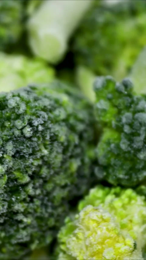 A close-up shot of a piece of broccoli Stock Footage 345168657