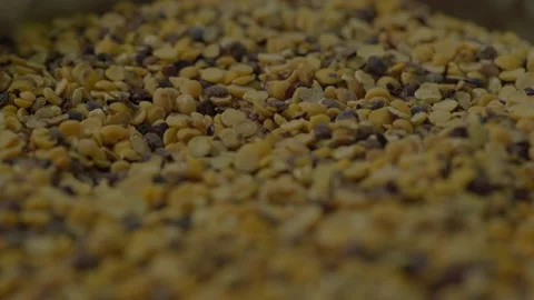 Close shot Pigeon peas processing mill plant in village india Stock Footage 217904245