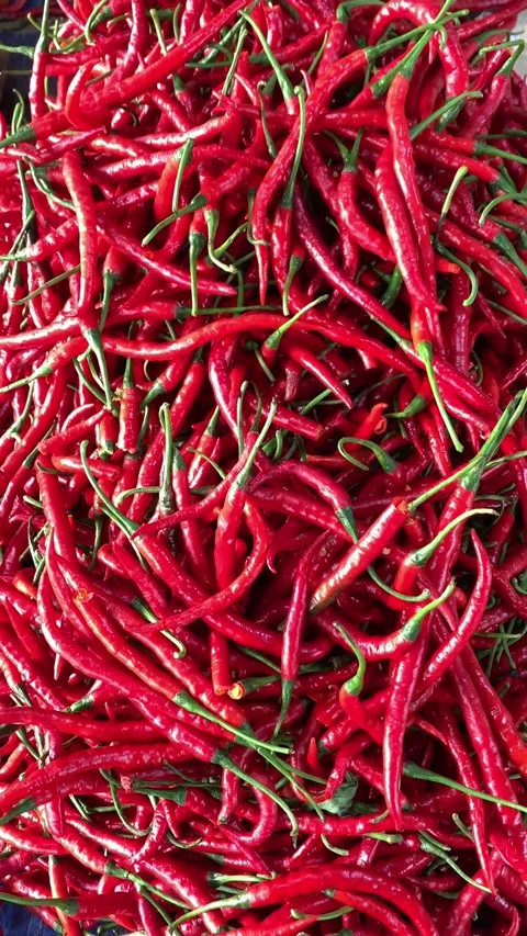 A close-up shot of a pile of long, red chili peppers. Vibrant color and tex.. Stock Footage 305773040