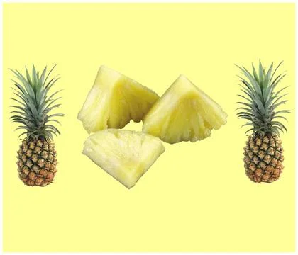 A close up shot of pine apple fruit isolated on yellow background. Stock Illustration