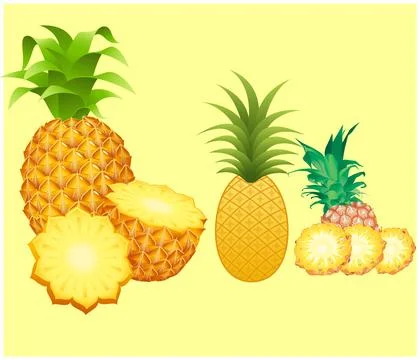 A close up shot of pine apple fruit isolated on yellow background. Stock Illustration