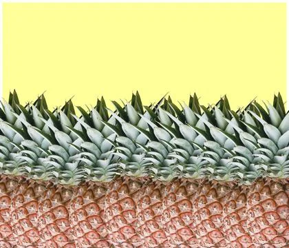 A close up shot of pine apple fruit. Stock Illustration