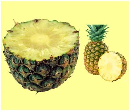A close up shot of pine apple fruit isolated on yellow background. Stock Photos