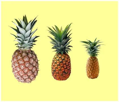 A close up shot of pine apple fruit isolated on yellow background. Foto stock