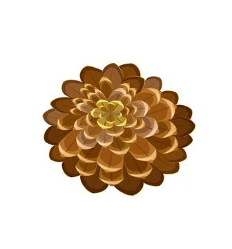A close up shot of pine code fruit isolated on white background. Stock Illustration