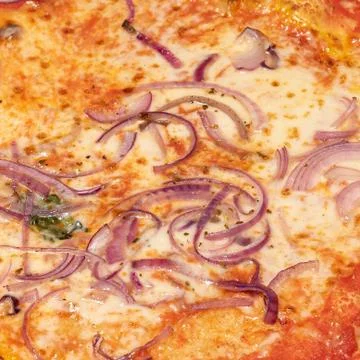 Close up shot of pizza with onions Stock Photos