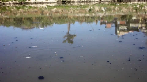 Close up shot of a polluted river. Stock Footage 33240294